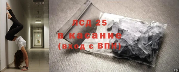 ПСИЛОЦИБИНОВЫЕ ГРИБЫ Валдай